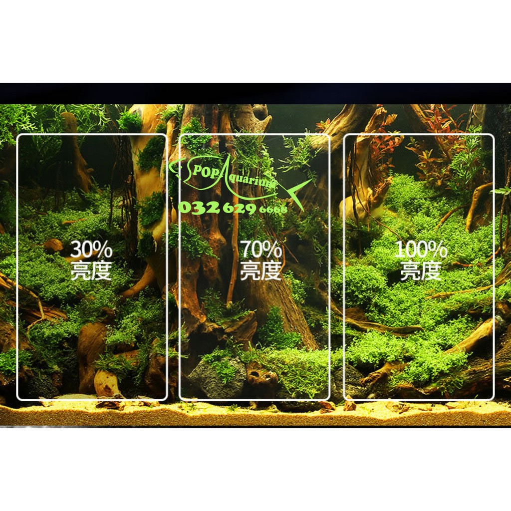 Đèn lon SUNSUN ADT 20W và 40W