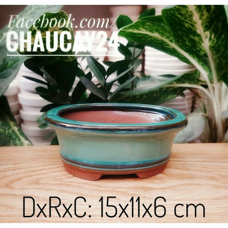 Chậu  bonsai  men  xanh  ngọc  loại  1  hình  bầu  dục  35k