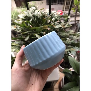 CHẬU SỨ BÁT TRÀNG MINI DECOR SIÊU XINH