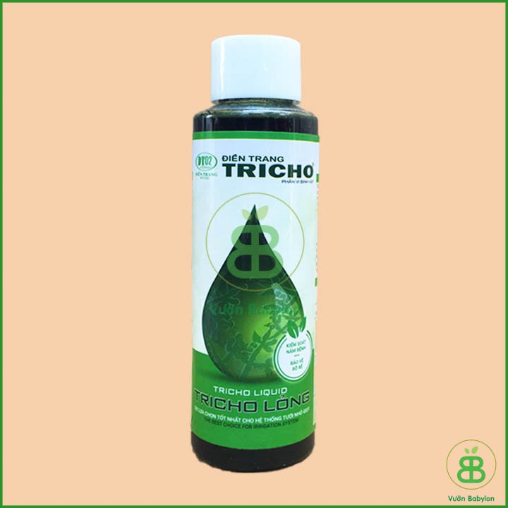 Trichoderma Dạng Lỏng Trị Nấm, Vi Khuẩn, Cải Tạo Đất