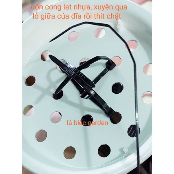 Đĩa giữ trụ trồng cây thẳng đứng