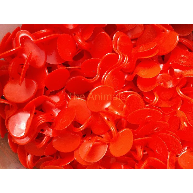 Kính cho gà, trị gà cắn mổ nhau set 1000 cái