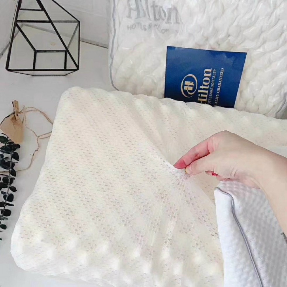 [Loại 1] Gối cao su Hilton cao cấp 45x65cm giá rẻ