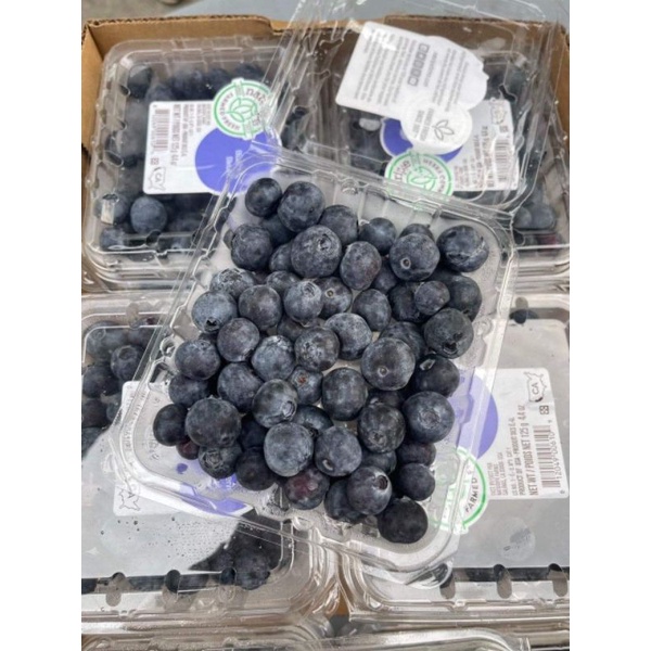 Việt quất mỹ 125g