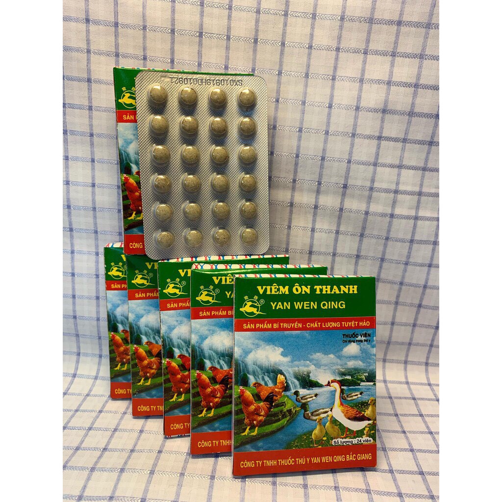 10 Vỉ viêm ôn thanh  - hen khẹc chim, gà, vịt