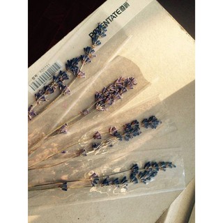 Set Bookmark Lavender Khô