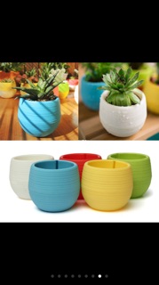 Chậu cây cảnh mini
