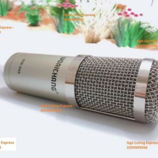 Micro Thu Âm WoAiChang BM900