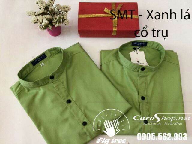 SMT- cổ trụ màu xanh sành điệu