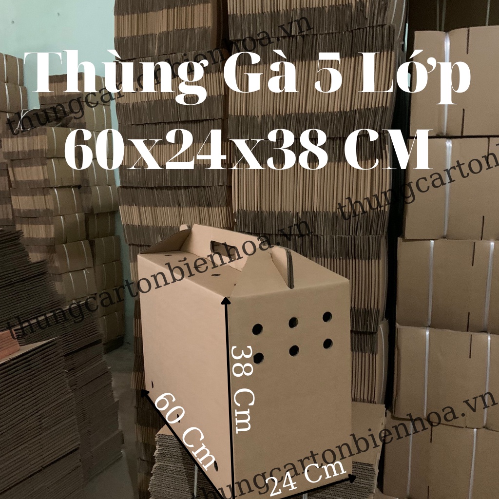 Thùng Carton 5 Lớp Đựng Gà Đá - Gà Tre 60x24x38 CM