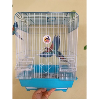 Lồng nuôi chim vẹt nhỏ