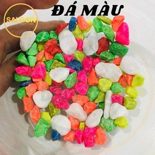 ĐÁ SỎI MÀU 50G, 100G,1KG 7 SẮC TRANG TRÍ TIẾU CẢNH SEN ĐÁ CÂY THỦY CANH HỒ CÁ SG-SM