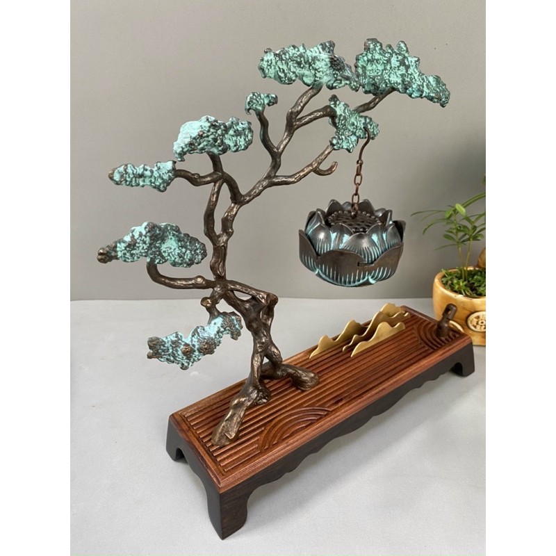 Xông trầm cây tùng
