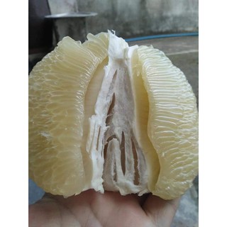 Bưởi đường cam Tân Triều loại nhất bán kg