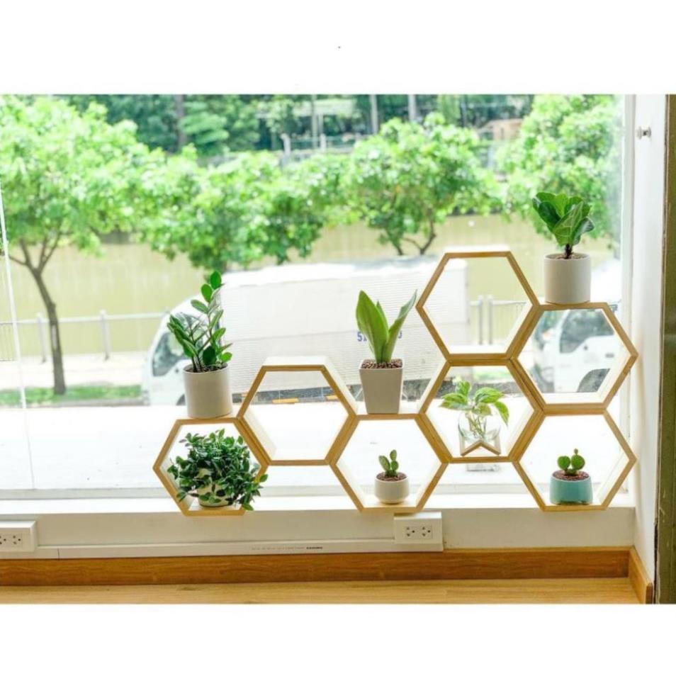 Bộ 6 kệ gỗ treo tường hình lục giác + 3 thanh ngang 40cm kết hợp gỗ thông kệ đựng đồ