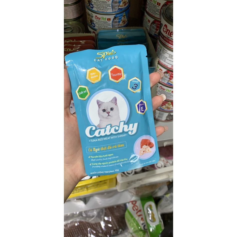 Pate cho mèo Catchy 5 Plus thơm ngon đủ vị 70g