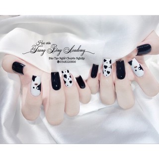 { TẶNG KEO - DŨA } Nail box - móng tay giả bò sữa nhiều mẫu