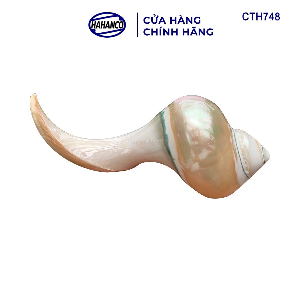 Gác Đũa Ốc Biển Độc Đáo HAHANCO (01 Chiếc) Nghệ Thuật Ẩm Thực Việt - CTH748