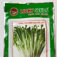 HẠT GIỐNG RAU MẦM ĐẬU HÀ LAN GÓI 50 GRAM