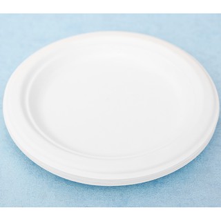 10 Đĩa Tròn Bã Mía 18cm