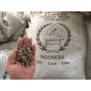 1kg đá bọt núi lửa Indonesia các cỡ (3-6mm, 5-8mm, 2-4cm; 1-2cm)