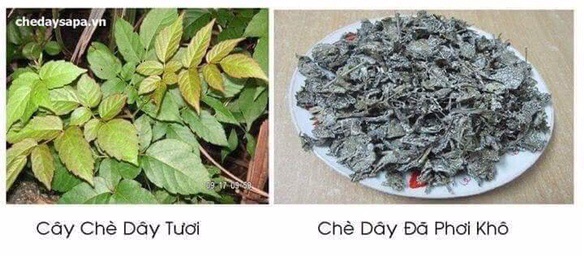 1kg Chè dây cao bằng sạch, nguyên chất