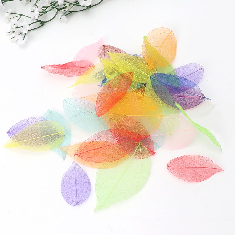 Set 50 xương lá cây tự nhiên nhiều màu sắc dùng làm trang sức độc đáo