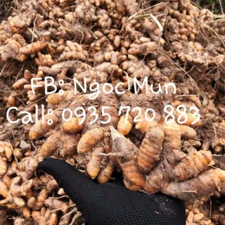 Tinh bột nghệ đỏ nguyên chất 100%