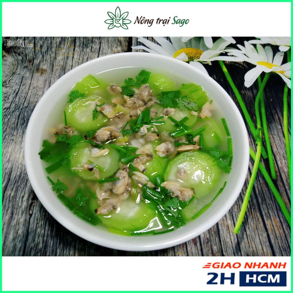 Hạt giống Mướp Hương Cao Sản, Trái Sai, Dài, Trồng Quanh Năm (gói 1 gram) - Nông Trại Sago