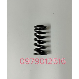 Bộ lò xo nồi Axelo ( 4 cái )