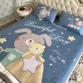 Chiếu điều hoà tencel 1,8x2m