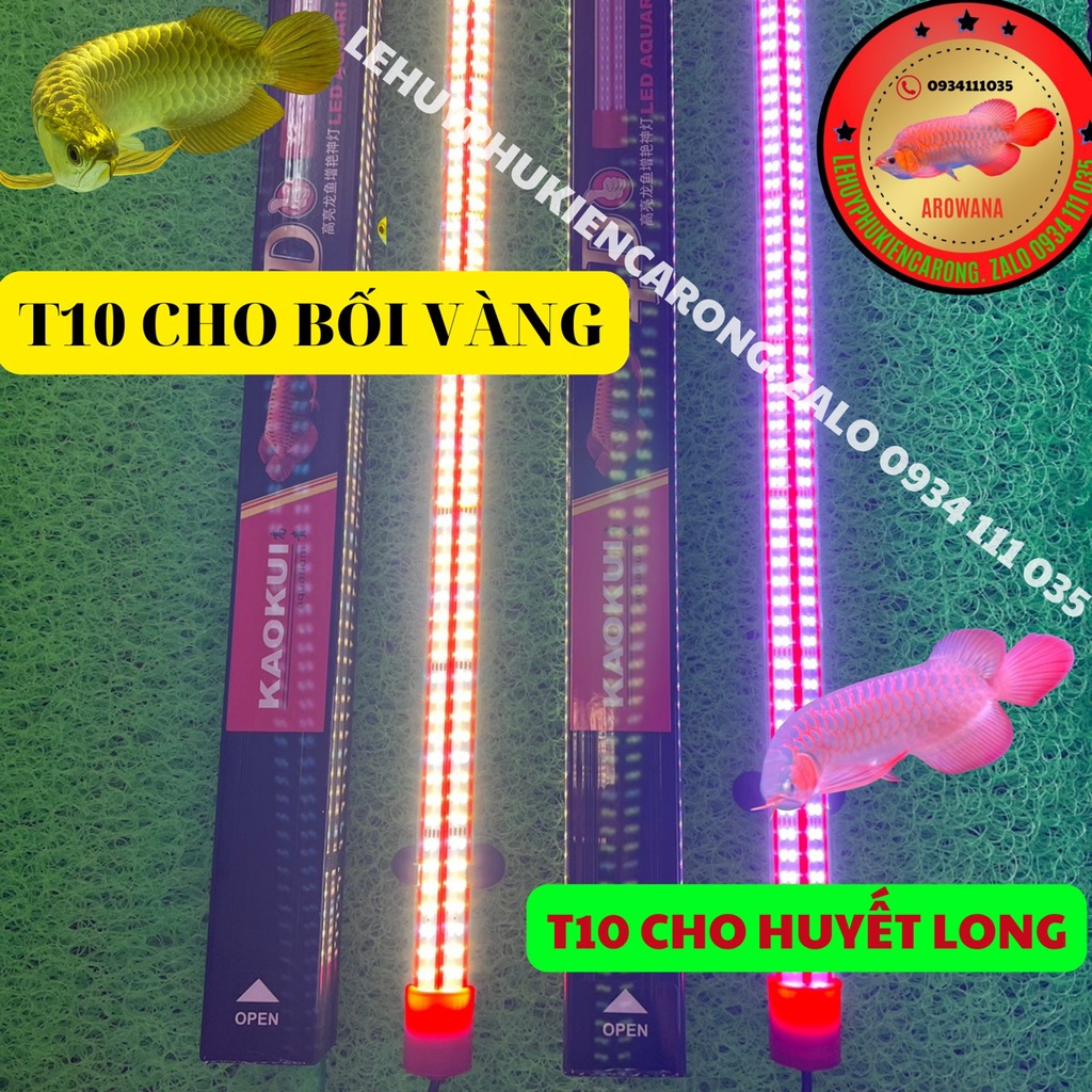 Đèn Led T10 4 Hàng Bóng Cho Huyết Long - Cho Bối Vàng Phiên Bản Mới Nhất Của Dòng T10 Kích Thước 95cm 115cm 145cm