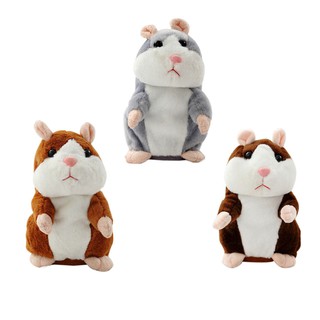 Chuột Hamster biết nói