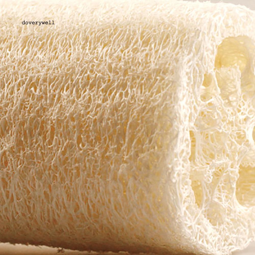 Set 6 miếng xơ mướp tự nhiên đa chức năng tiện lợi