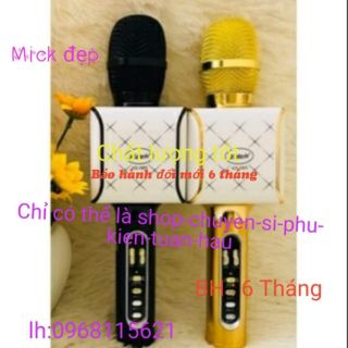 Mich hát karaoke Bluetooth kd08