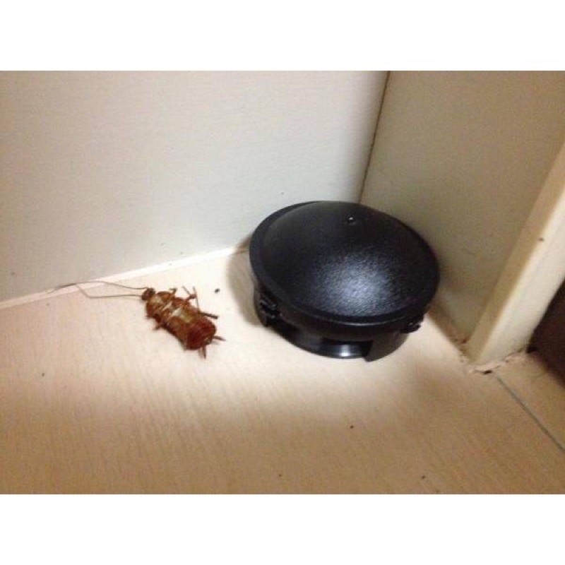 Thuốc diệt gián nhật bản - diệt gián tận gốc hộp 12 viên an toàn - hiệu quả cho con người và vật nuôi