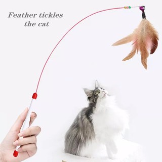 Cần câu mèo. Đồ Chơi Chó Mèo Thông Minh Huấn Luyện Thú Cưng