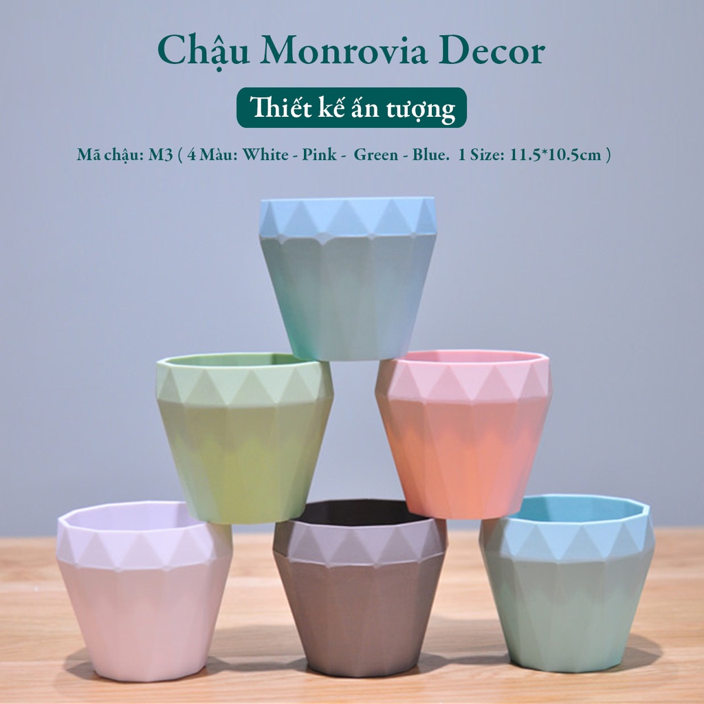 Chậu trồng cây mini MONROVIA cho sen đá, cây cảnh, hoa nhí, xương rồng, bonsai để bàn, ban công