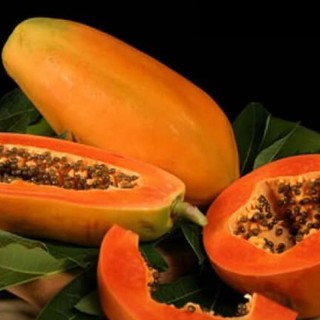 5 HẠT GIỐNG ĐU ĐỦ RUỘT ĐỎ