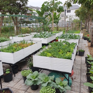 Chậu ghép thông minh HDPE/PP 200x100x39cm: Thẩm mỹ, kết cấu chắc, dễ lắp đặt, phù hợp mọi cây trồng.