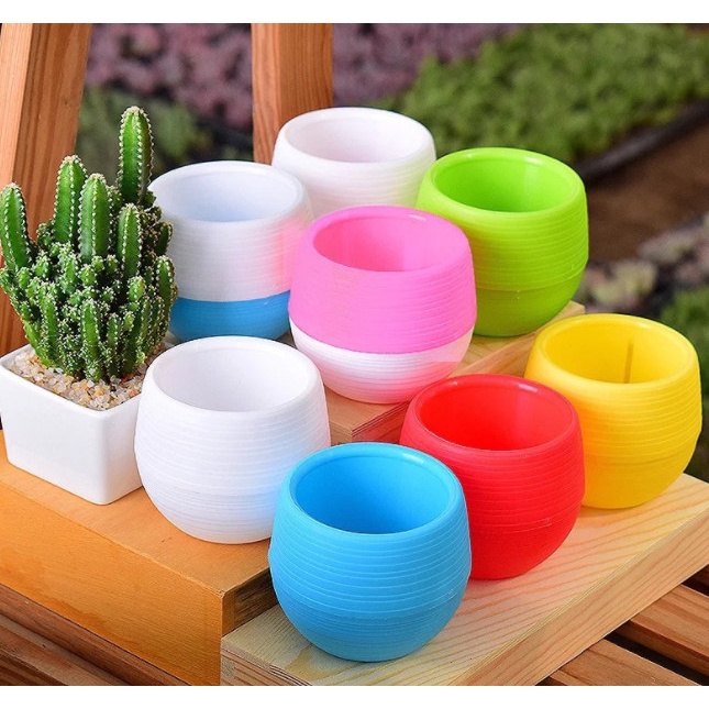 Chậu tròn trồng cây - Chậu trồng sen đá - cây cảnh mini