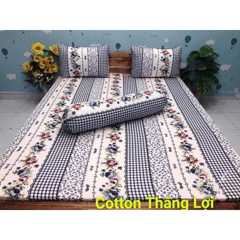 Ga lẻ THẮNG LỢI 1m6/2m NỆM DƯỚI 15CM