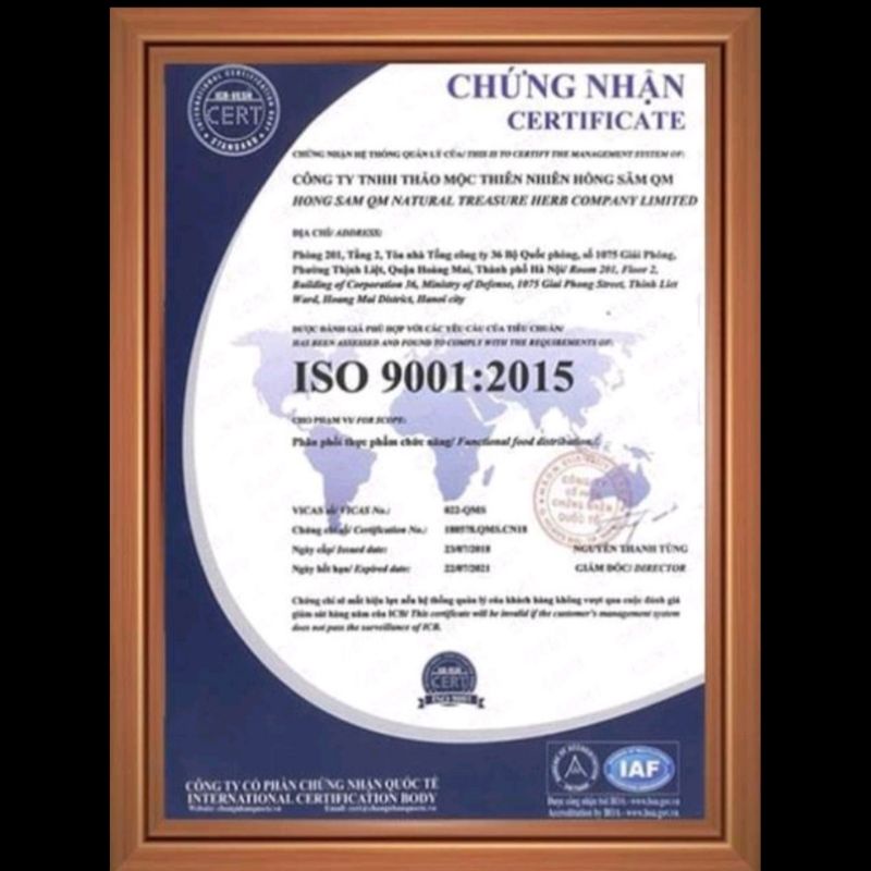 (chính hãng) Thảo Mộc TĂNG CÂN HỒNG SÂM