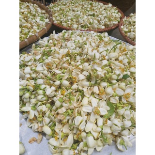 Cao bồ kết 500g