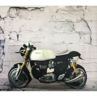 Gối Ôm 3D xe Môtô (xe máy phân khối lớn)