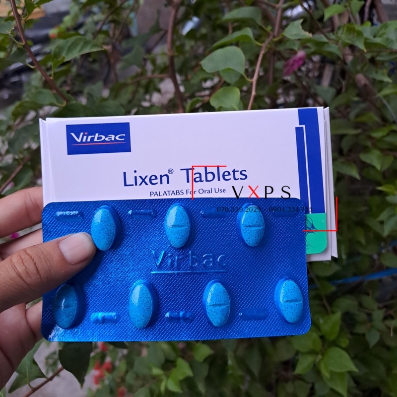 Lixen tablets viên nhai hỗ trợ viêm da, nhiễm khuẩn
