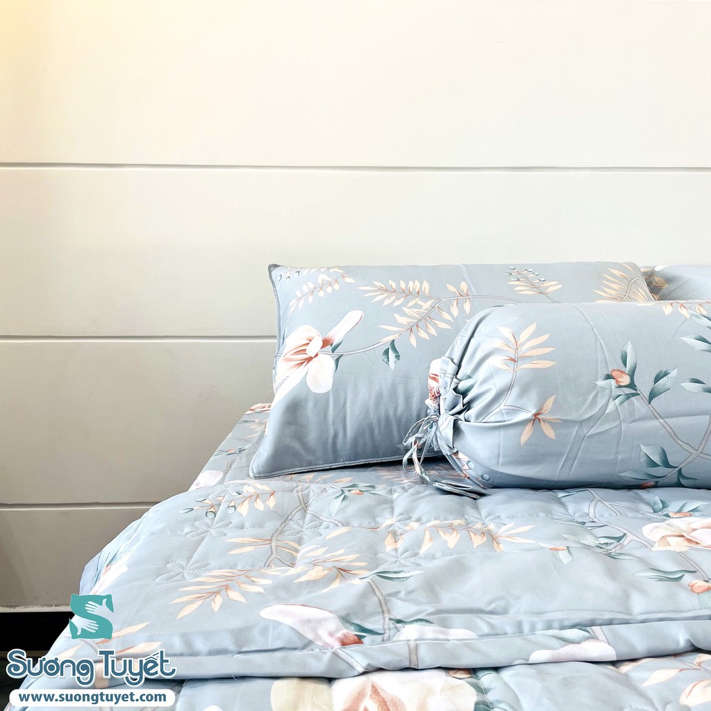 Bộ Drap Lụa Tencel LTC - 004