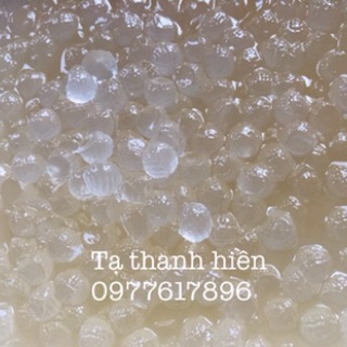 Trân châu 3Q 2kg