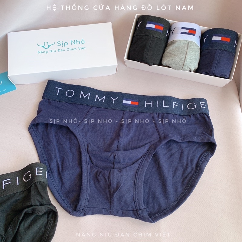 Quần lót tam giác tommy cotton thấm hút