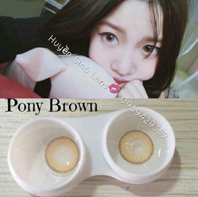 Lens  pony brown